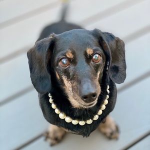 Meet your Posher, Sharon